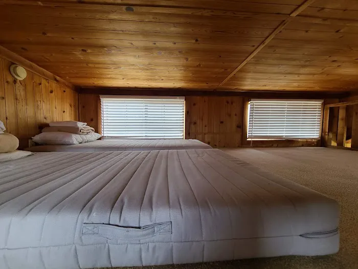 Lake Conroe RV & Camping Resort Picture 2