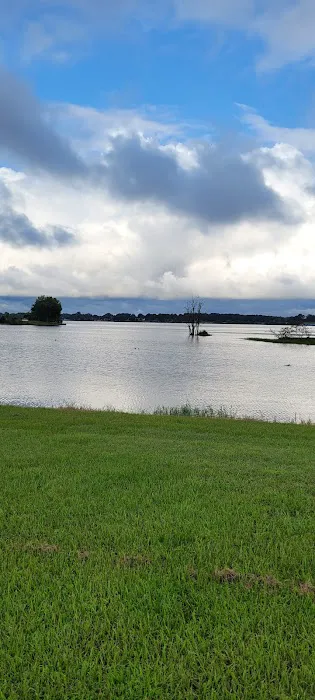 Lake Conroe RV & Camping Resort Picture 5