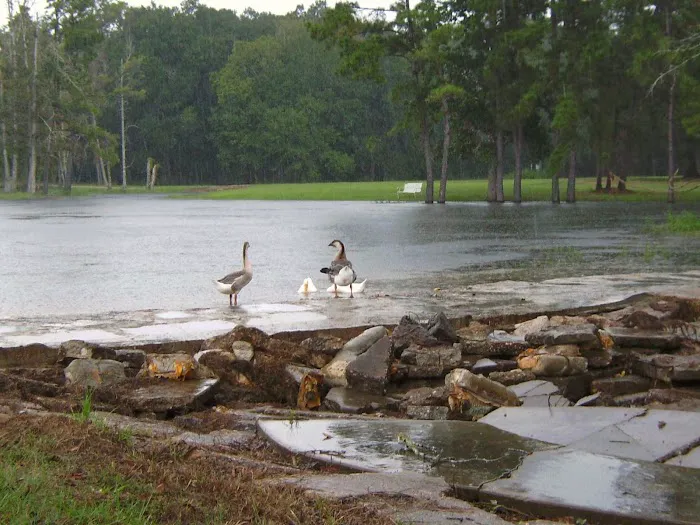 Omega Farms RV Park Picture 8