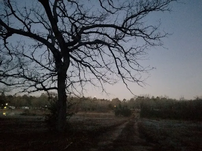 Omega Farms RV Park Picture 5