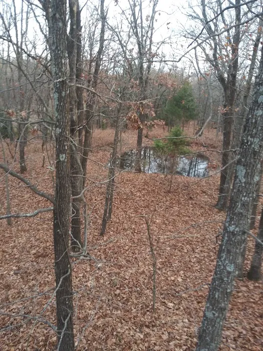 Flat Rock Creek Campground Picture 5
