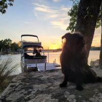 Lighthouse Pointe at Lake Carl Blackwell ico