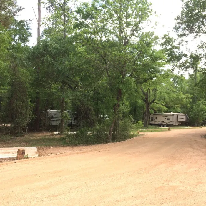 Magnolia Forest Picture 9
