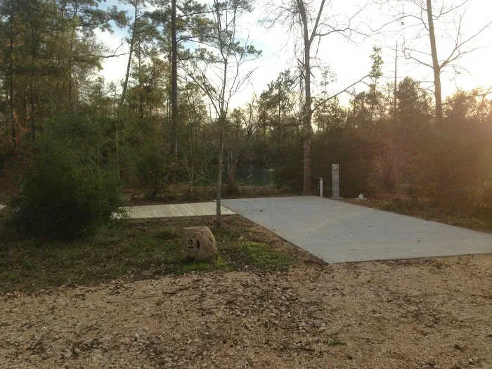 Magnolia Forest Picture 8