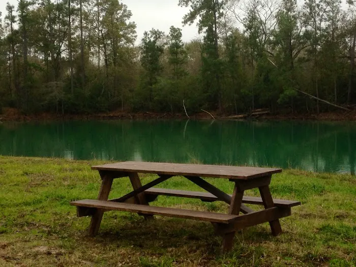 Magnolia Forest Picture 4