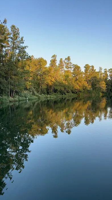 Magnolia Forest Picture 5