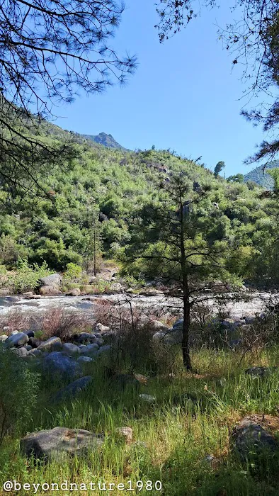 Kings River Trailhead (recgovnpsdata) Picture 6