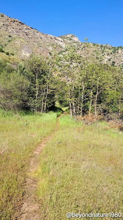 Kings River Trailhead (recgovnpsdata) Picture 4