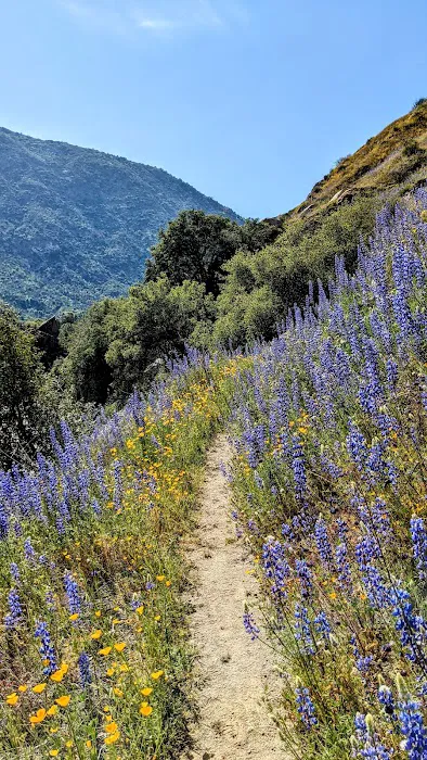 Kings River Trailhead (recgovnpsdata) Picture 3