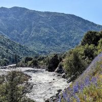 Kings River Trailhead (recgovnpsdata) ico