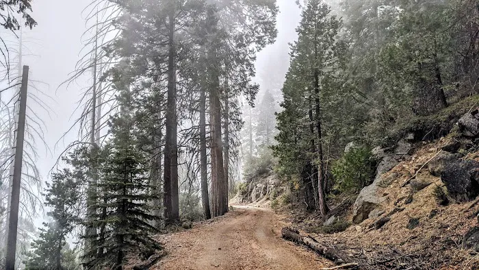 Black Rock Campground Picture 8