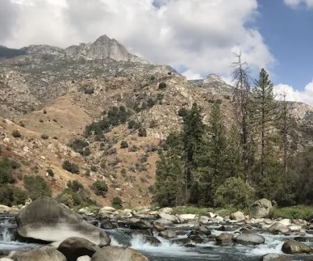 2nd Pines Campsite