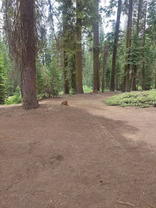 Sawmill Flat Campground Picture 2