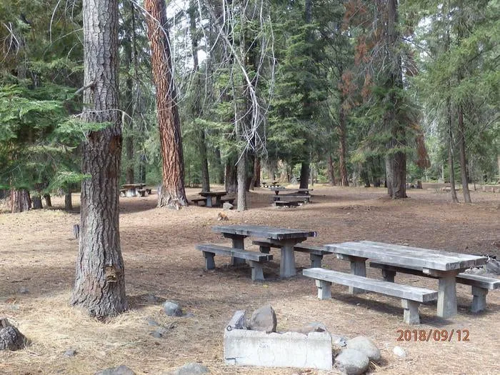 Sawmill Flat Campground Picture 1