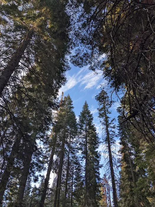 Sawmill Flat Campground Picture 5