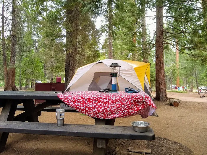 Princess Campground Picture 9