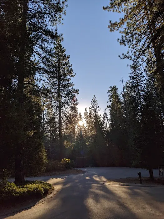 Princess Campground Picture 1
