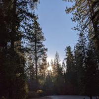 Princess Campground ico