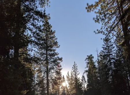Princess Campground