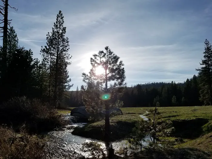 Princess Campground Picture 5