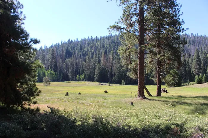 Princess Campground Picture 6