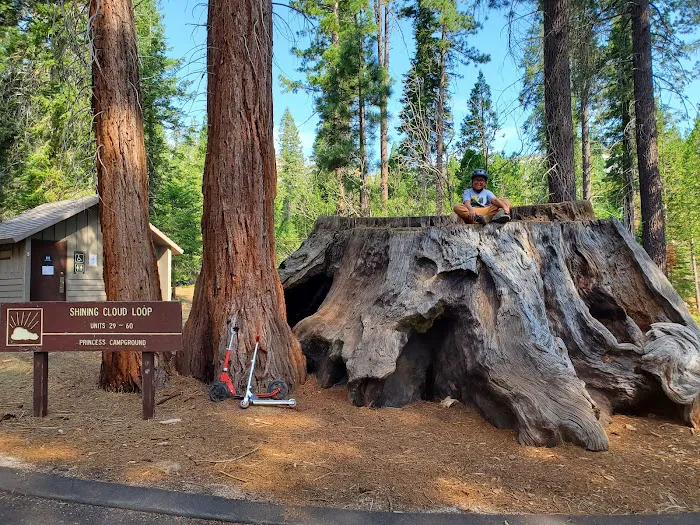 Princess Campground Picture 8