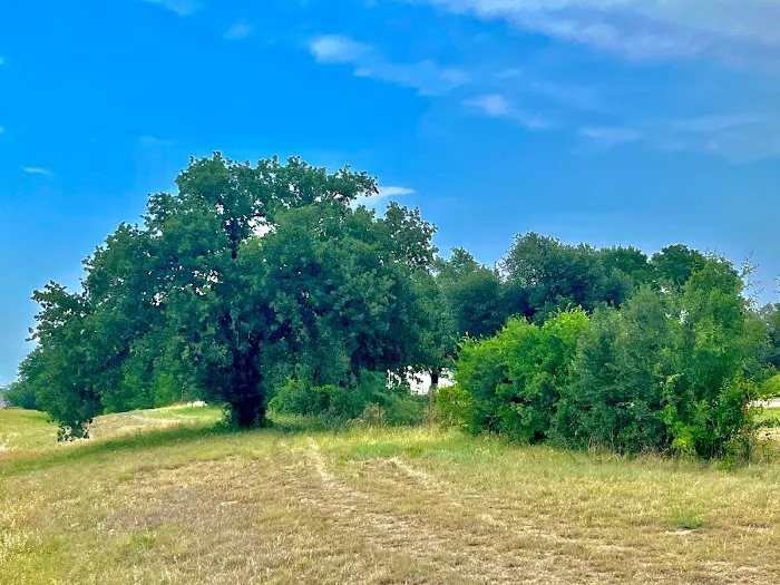 Salt Creek RV Park Picture 4
