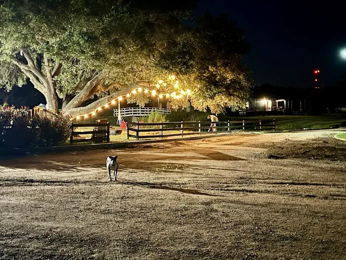 Eagle's Nest Village RV Park Picture 4