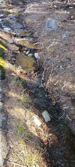 Lily Pad Campground Picture 3