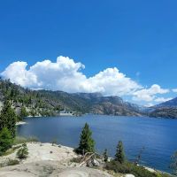 Lily Pad Campground ico
