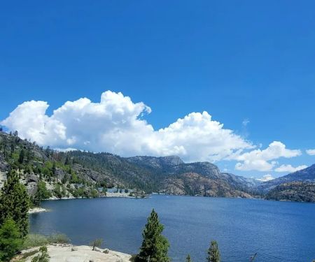 Lily Pad Campground