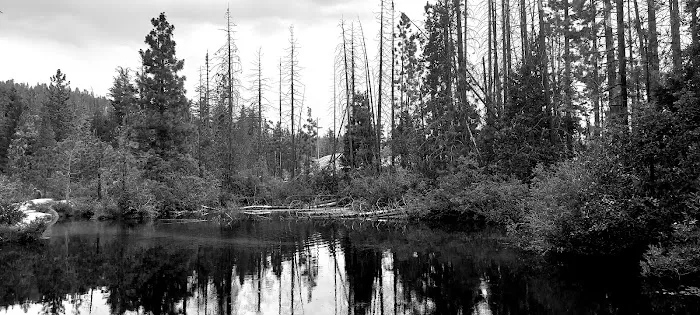 Upper Kings River PG&E group campsite Picture 10