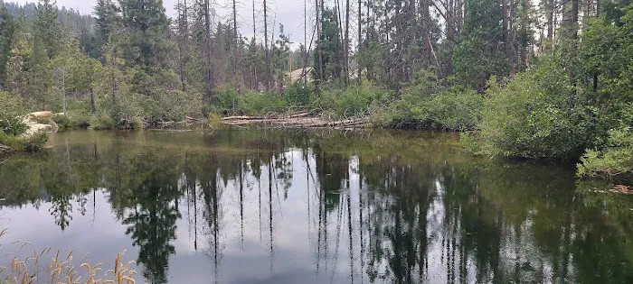 Upper Kings River PG&E group campsite Picture 3
