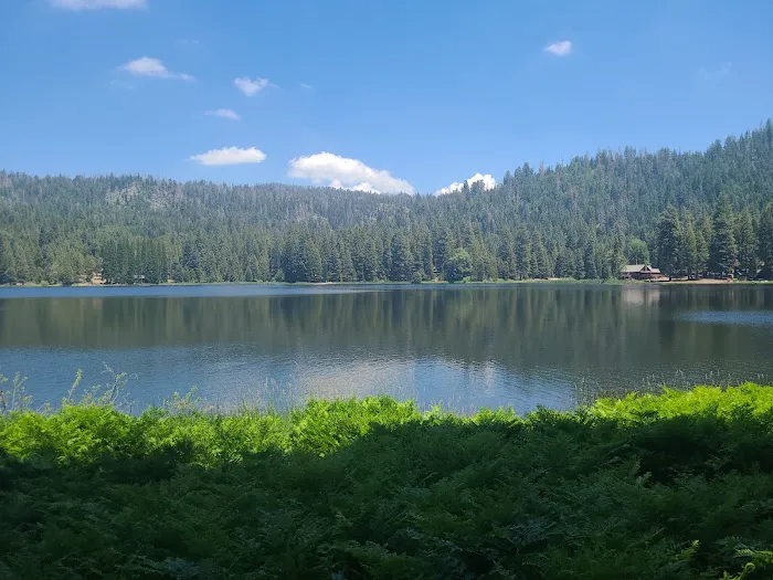 Sequoia Village Picture 2