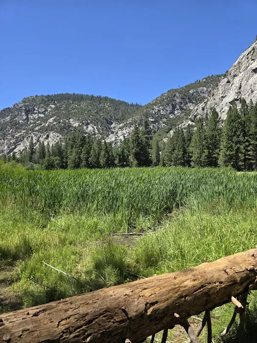 King's Canyon National Park Azalea Campground Picture 10