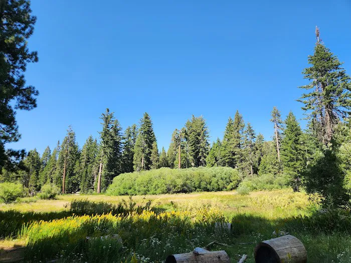 Azalea Campground Picture 7