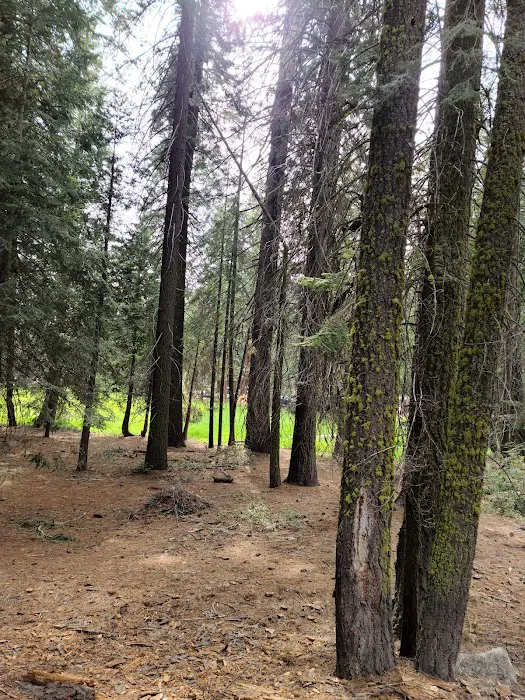 Sunset Campground Picture 4