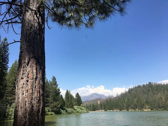 Crystal Springs Campground Picture 6
