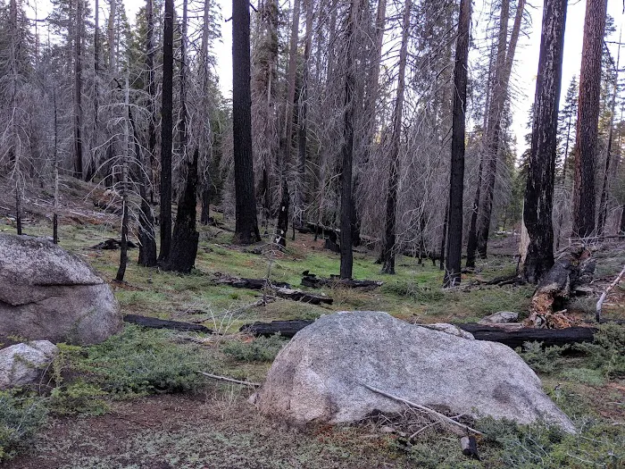 Crystal Springs Campground Picture 9