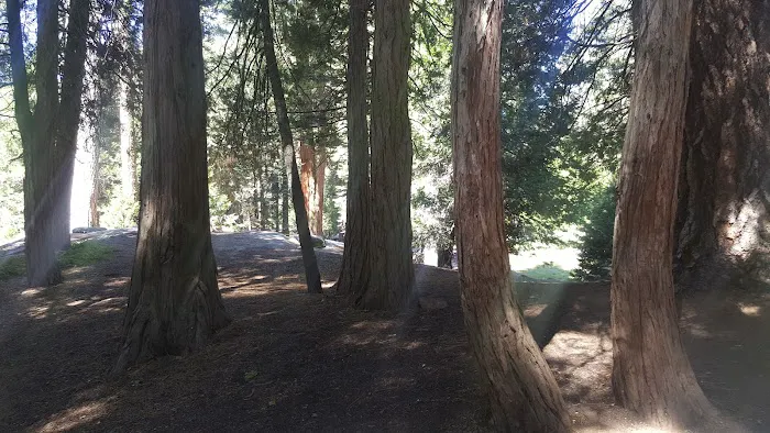 Crystal Springs Campground Mid-Sized Group Sites Picture 8