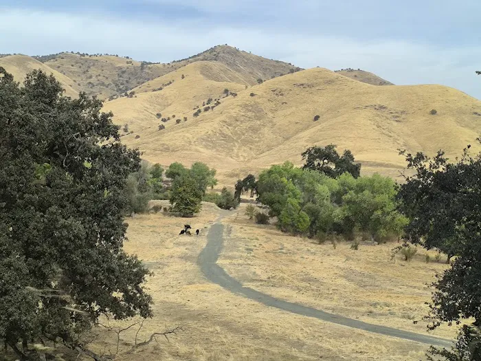 The Mountain Chapel Campground Picture 1