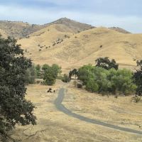 The Mountain Chapel Campground ico