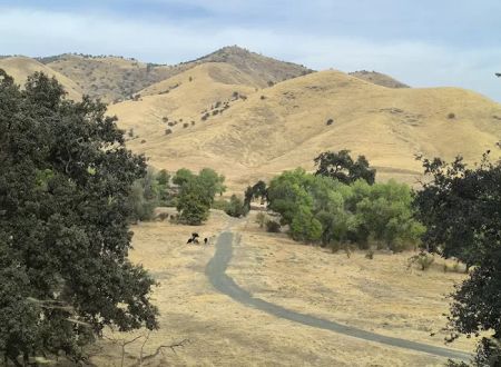 The Mountain Chapel Campground