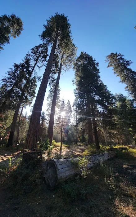 Eshom Campground Picture 3