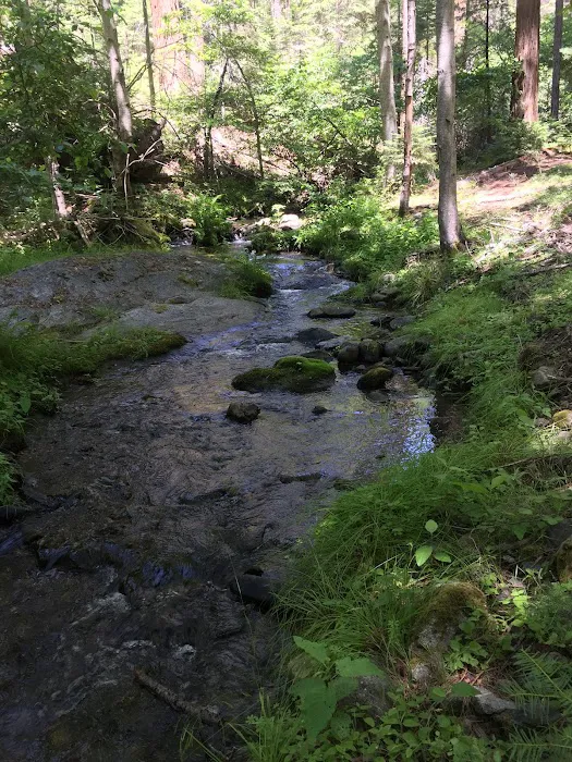 Eshom Campground Picture 4