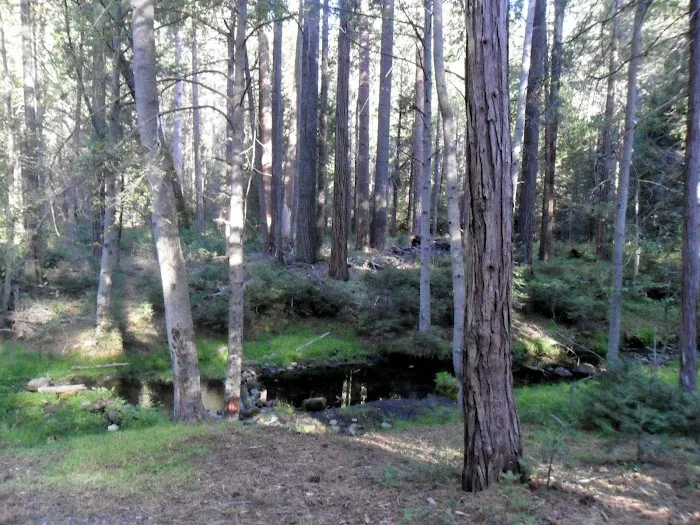 Eshom Campground Picture 6