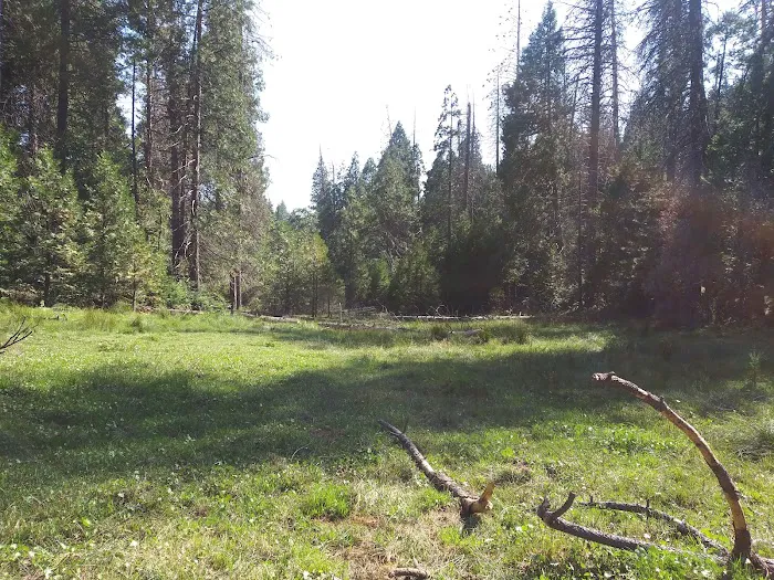 Eshom Campground Picture 7