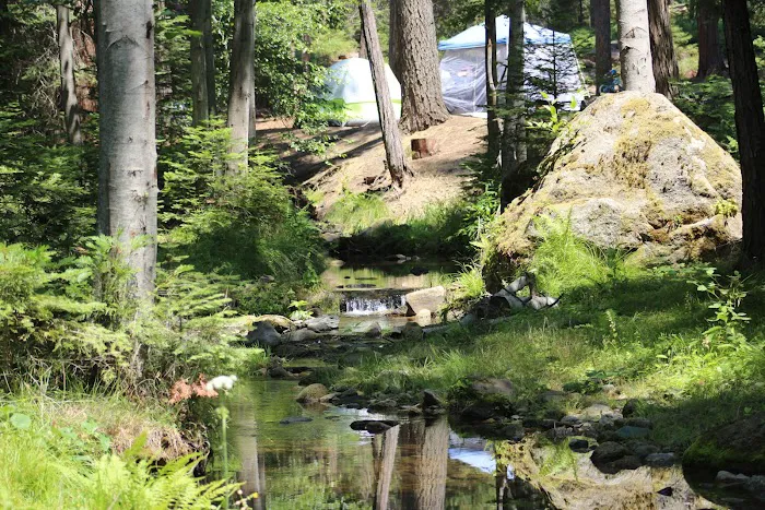 Eshom Campground Picture 8