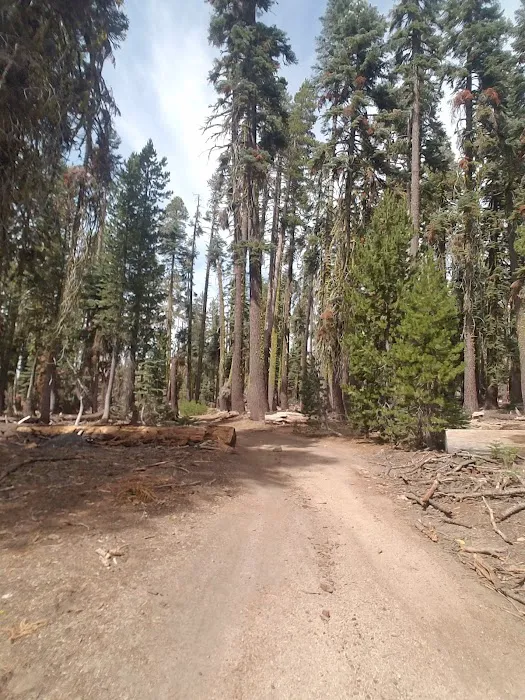 Cold Springs Summit Interpretive Site (minor) (recgovnpsdata) Picture 6