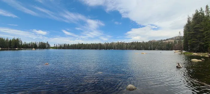 Cold Springs Summit Interpretive Site (minor) (recgovnpsdata) Picture 5
